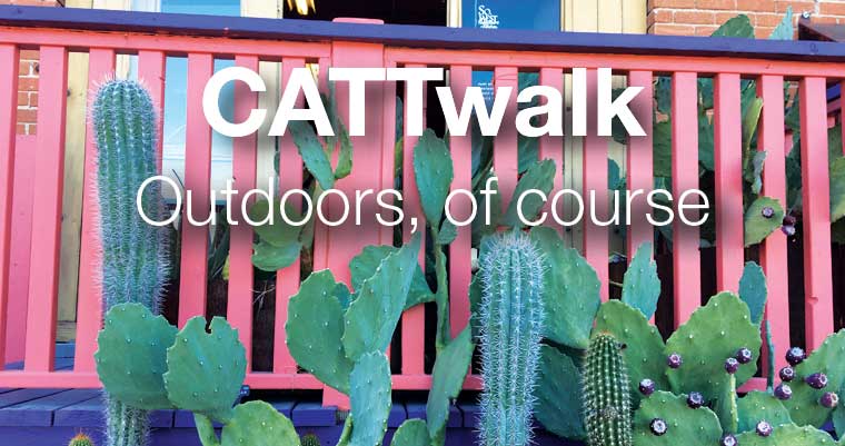 CATTwalk